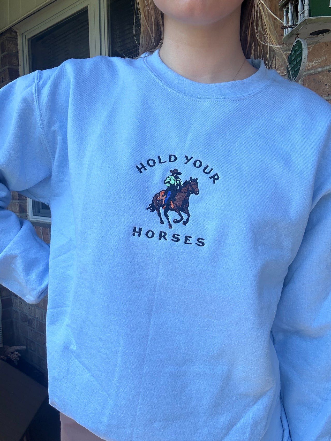 Hold Your Horses Cowboy Embroidered Sweatshirt